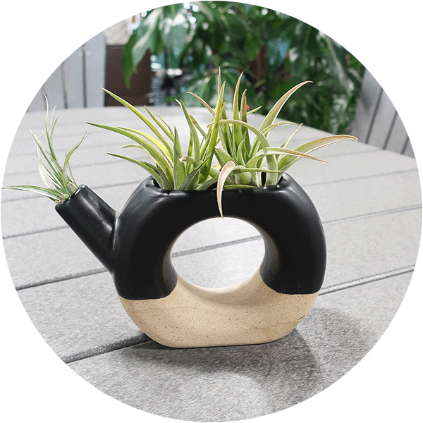 Contemporary Black & White Pot